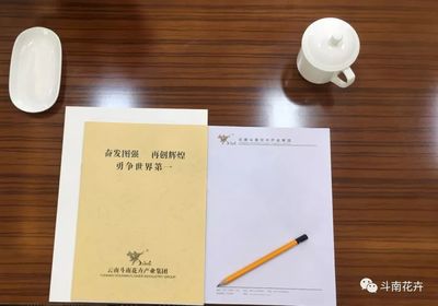 構建標準化會務服務體系，鑄就卓越賓客體驗